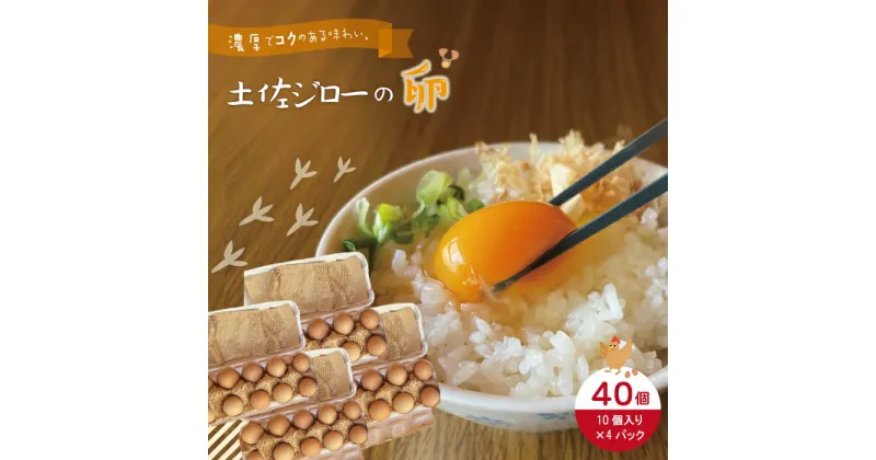 【ふるさと納税】R5-1011．濃厚でコクのある味わい！のびのび育った土佐ジローの自然卵40個（10個入り×4パック） ふるさと納税　卵 玉子 たまご 鶏卵 土佐ジローの卵 土佐ジロー 自然卵 新鮮 旨味 濃厚 コク おいしい こだわり卵 高知 高知県 四万十市 産地直送 送料無料