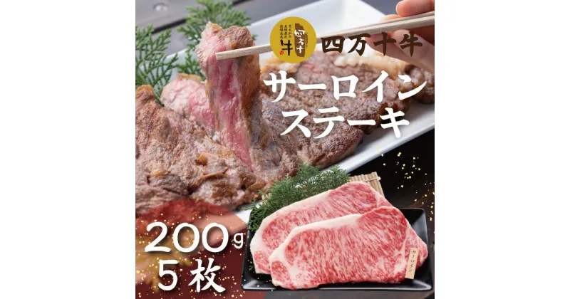 【ふるさと納税】R5-022．幻のメス牛 四万十牛サーロインステーキ1kg（200g×5枚）国産 高知 しまんと 四万十 四万十牛 メス牛 お取り寄せ 牧場直売 牛肉 黒毛和牛 四万十市 贅沢 送料無料 ステーキ 霜降り バーベキュー アウトドア 焼き肉