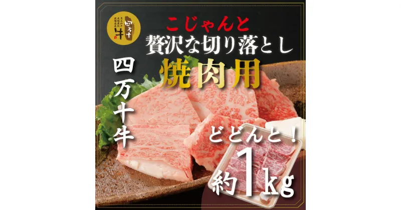 【ふるさと納税】R5-979．幻の四万十牛 四万十産黒毛和牛 焼肉用 切り落とし 約1kg ふるさと納税 高知 肉 黒毛和牛 お取り寄せ 産地直送 送料無料