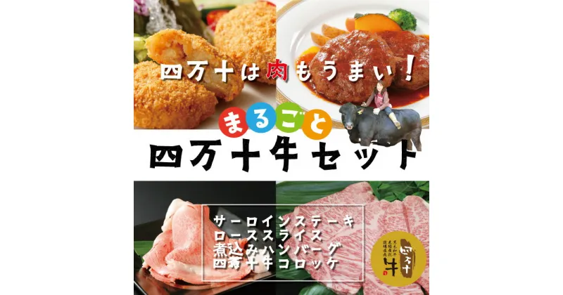 【ふるさと納税】R5-021．幻のメス牛 まるごと四万十牛セット（サーロインステーキ・ローススライス・煮込みハンバーグ・四万十牛コロッケ） 国産 高知 四万十市 四万十牛 メス牛 お取り寄せ 牧場直売 肉 牛肉 黒毛和牛 コロッケ 冷凍