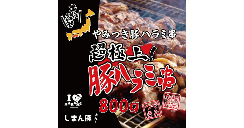 【ふるさと納税】R5-039．秘伝のタレに漬け込んだ「しまん豚(とん)」のやみつき豚はらみ串10本(約800g)セット 四万十 しまんと オススメ おすすめ 豚串 ご当地 グルメ お取り寄せ 豚 豚はらみ ふるさと納税 高知 肉 バーベキュー