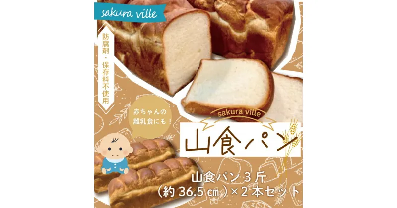 【ふるさと納税】R5-354．sakura ville特製 四万十の山食パン2本セット パン 冷凍パン 山食パン 食パン ベーカリー 朝食 おやつ 冷凍 お楽しみ 高知 四万十 四万十市 しまんと 送料無料