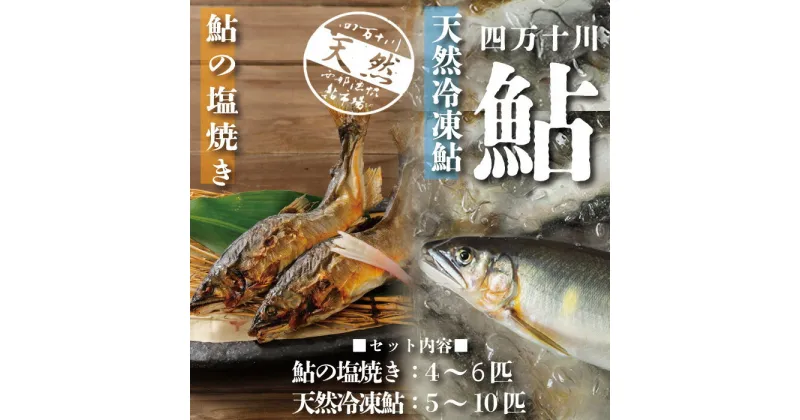 【ふるさと納税】R5-840．四万十川の恵みをご家庭で！四万十川天然鮎セット（塩焼き4～6匹+天然冷凍鮎5～10匹）