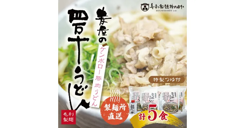 【ふるさと納税】R5-187．赤身が美味しい！ケンボロー豚で作った麦屋の肉うどん（特製つゆ付き）　5食セット　国産 高知 四万十 うどん ケンボロー 豚 肉 お取り寄せ グルメ 送料無料