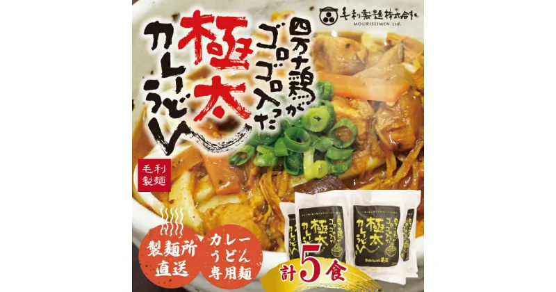 【ふるさと納税】R5-185．四万十鶏がゴロゴロ入った極太カレーうどん　5食セット　 国産 高知 四万十 うどん スパイシー カレー お取り寄せ グルメ 送料無料