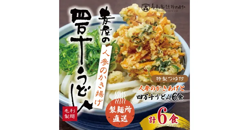 【ふるさと納税】R5-797．【数量限定】四万十うどんと人参のかき揚げ6食セット