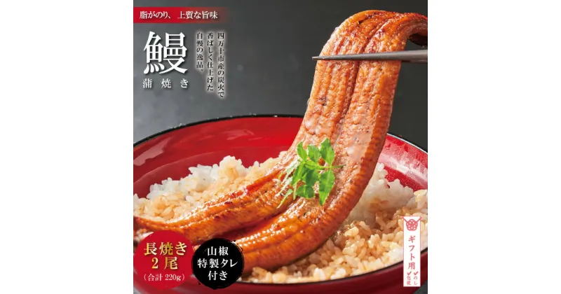 【ふるさと納税】【ギフト用（包装・のし対応）】R5-366G．＜四万十食品＞うなぎ蒲焼　長焼2尾／BC 国産 高知 四万十 ウナギ うなぎ 鰻 お取り寄せ グルメ 国産ウナギ 包装 のし ギフト 送料無料