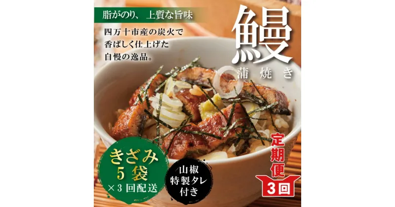 【ふるさと納税】23-1033．【3回定期便】3ヵ月連続＜四万十食品＞うなぎ蒲焼きざみ5袋(合計225g) ／K5 鰻 ウナギ うなぎ お取り寄せ グルメ きざみ お楽しみ ギフト ひつまぶし 国産鰻 蒲焼 うなぎ蒲焼 ウナギ蒲焼 鰻蒲焼 冷凍 送料無料 国産 高知 高知県 四万十 四万十市