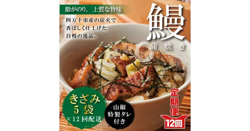 【ふるさと納税】23-1035．【12回定期便】12ヵ月連続＜四万十食品＞うなぎ蒲焼 きざみ5袋(合計225g) ／K5 鰻 ウナギ うなぎ お取り寄せ グルメ きざみ お楽しみ ひつまぶし 国産鰻 蒲焼 うなぎ蒲焼 ウナギ蒲焼 鰻蒲焼 冷凍 送料無料 国産 高知 高知県 四万十 四万十市