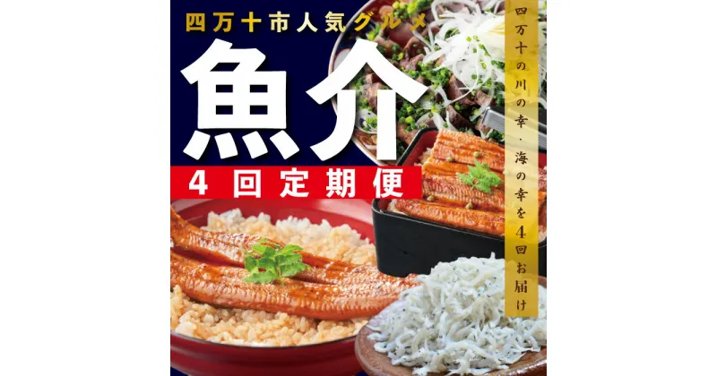 【ふるさと納税】R5-411．【4ヵ月連続定期便】四万十市人気魚介返礼品を集めた定期便 お楽しみ 鰹 かつお カツオ 鰻 ウナギ しらす ちりめん 新鮮 冷凍 ふるさと納税 うなぎ 定期便 高知 四万十市 グルメ 産地直送 送料無料