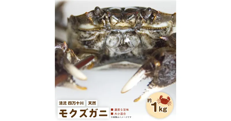 【ふるさと納税】24-948．濃厚な旨み！清流四万十川・天然モクズガニ 約1kg（大小混合） 冷凍 クール 蟹 かに カニ つがに ツガニ もくずがに モクズガニ 天然 予約 先行予約 早期予約 濃厚 国産 高知 四万十 しまんと お取り寄せ 送料無料