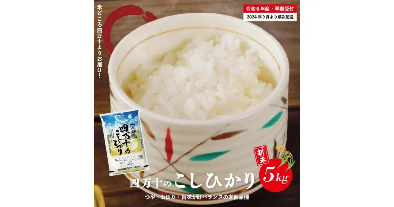 【ふるさと納税】R6-148．【令和6年産新米・早期受付】 四万十のこしひかり 5kg こしひかり コシヒカリ ごはん こめ コメ 米 白米 精米 国産 高知県 高知 四万十 送料無料 【2024年9月より順次配送】