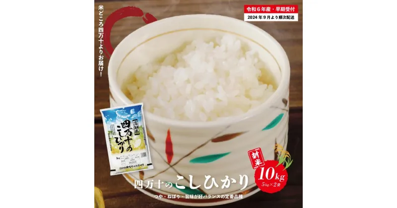 【ふるさと納税】R6-149．【令和6年産新米・早期受付】 四万十のこしひかり 10kg こしひかり コシヒカリ ごはん こめ コメ 米 白米 精米 国産 高知県 高知 四万十 送料無料 【2024年9月より順次配送】