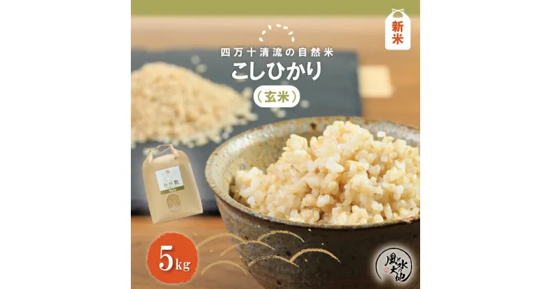 【ふるさと納税】R6-854．【令和6年産新米】四万十清流の自然米 玄米 5kg コシヒカリ 国産 新米 こしひかり 令和6年 2024年 自然米 米 ご飯 高知 四万十 しまんと お取り寄せ 送料無料 酵母菌 米糠発酵肥料