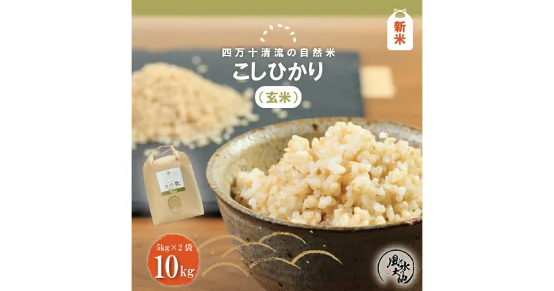 【ふるさと納税】R6-855．【令和6年産新米】四万十清流の自然米 玄米 10kg コシヒカリ 新米 国産 こしひかり 令和6年 2024年 自然米 米 ご飯 ごはん 高知 四万十 しまんと お取り寄せ 送料無料 酵母菌 米糠発酵肥料