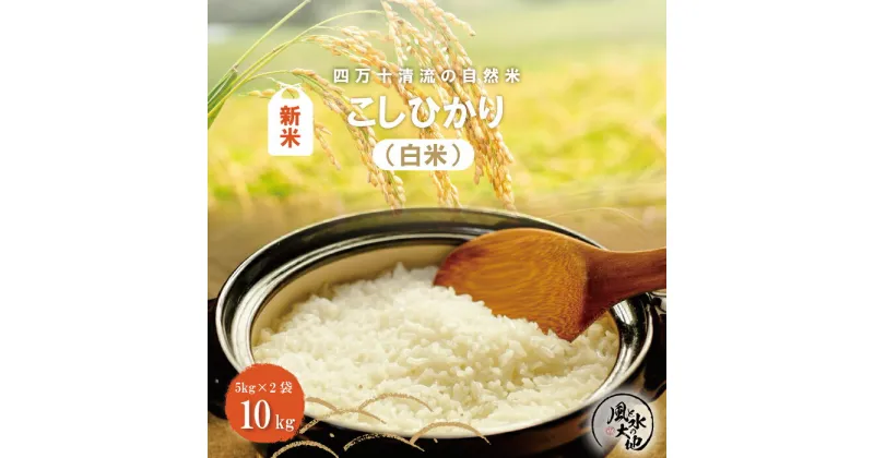 【ふるさと納税】R6-850．【令和6年産新米】四万十清流の自然米 白米 10kg コシヒカリ 新米 国産 こしひかり 5kg 令和6年 2024年 自然米 精米 米 ご飯 高知 四万十 しまんと お取り寄せ 送料無料 酵母菌 米糠発酵肥料