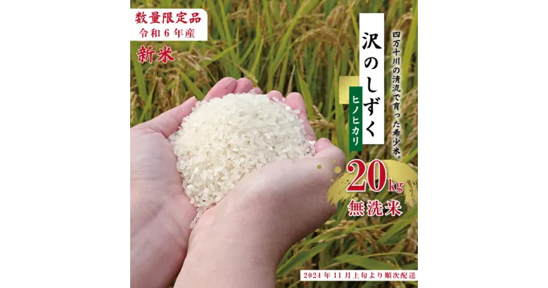 【ふるさと納税】24-836．【令和6年産新米・早期受付】 沢のしずく 無洗米 ヒノヒカリ 10kg×2袋 20kg 限定 ひのひかり 令和6年 2024年 新米 早期 先行 便利 白米 精米 白米 米 こめ コメ ごはん 高知 四万十 しまんと お取り寄せ 送料無料 【2024年11月上旬より順次配送】