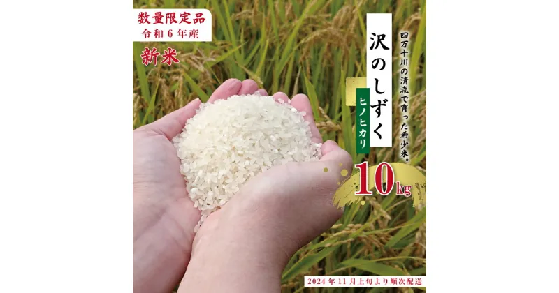 【ふるさと納税】24-739．【令和6年産新米・早期受付】 沢のしずく ヒノヒカリ 10kg 限定 ひのひかり 令和6年 2024年 新米 早期 先行 白米 精米 白米 米 おこめ こめ コメ ごはん 高知 四万十 しまんと お取り寄せ 送料無料 四万十川【2024年11月上旬より順次配送】