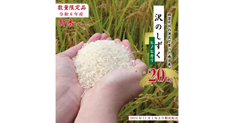 【ふるさと納税】24-835．【令和6年産新米・早期受付】 沢のしずく ヒノヒカリ 20kg 10kg×2袋 限定 ひのひかり 令和6年 2024年 新米 早期 先行 白米 精米 白米 米 おこめ ごはん 高知 四万十 しまんと お取り寄せ 送料無料 四万十川【2024年11月上旬より順次配送】