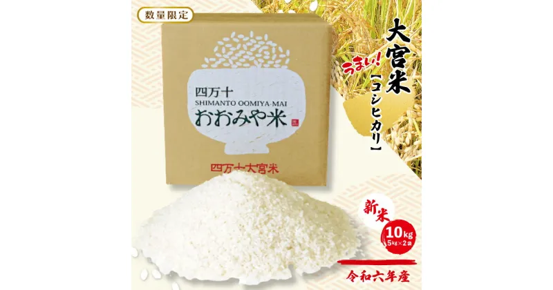 【ふるさと納税】R6-305．【 令和6年産 新米 数量限定 】四万十の米どころ！山間地域で育てた 大宮米 ( コシヒカリ ) 10kg 高知県 こうち 四万十 しまんと 国産 お米 白米 精米 コシヒカリ こしひかり ご飯 ごはん 粘り 送料無料