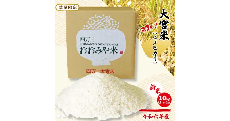 【ふるさと納税】R6-789．【 令和6年産 新米 早期受付 数量限定 】四万十の米どころ！山間地域で育てた 大宮米 ( ヒノヒカリ ) 10kg 高知県 こうち 四万十 しまんと 国産 米 お米 白米 精米 ヒノヒカリ ひのひかり ご飯 ごはん 粘り 送料無料【2024年11月中旬より順次配送】