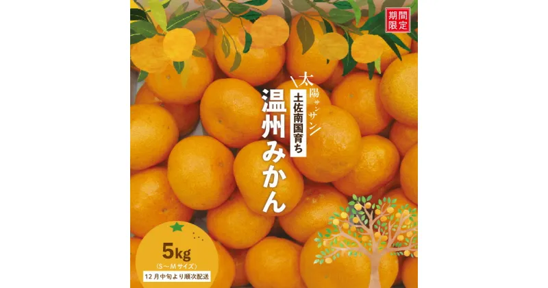 【ふるさと納税】24-502．【 早期受付 期間限定 数量限定 】土佐南国育ち！甘いがうまい！ 温州みかん 5kg フルーツ 果物 みかん ミカン 蜜柑 温州 柑橘 高知 高知県 南国 四万十 しまんと 産地直送 送料無料 限定 先行 予約 旬 甘い 【2024年12月中旬～2025年1月上旬配送】