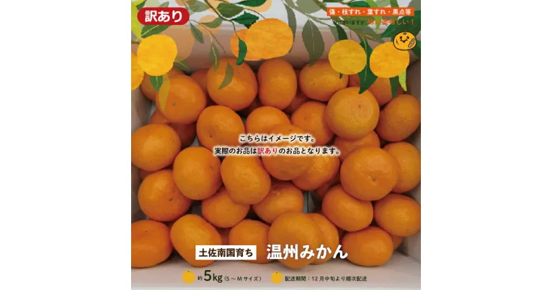 【ふるさと納税】24-508．【 訳あり 】【 早期受付 期間限定 数量限定 】土佐南国育ち！甘いがうまい！ 温州みかん 5kg （家庭用） フルーツ 果物 みかん ミカン 柑橘 高知 四万十 しまんと 産地直送 送料無料 先行 予約 旬 甘い 【2024年12月中旬～2025年1月上旬配送】