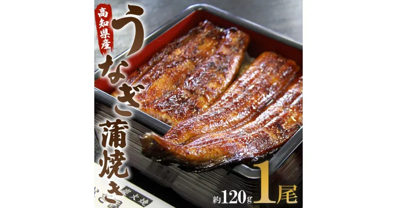 【ふるさと納税】高知県産うなぎ蒲焼き 1尾 約120g （無頭）- 送料無料 鰻 ウナギ スタミナ 晩ご飯 おつまみ 丼ぶり ギフト お礼 御礼 感謝 お取り寄せグルメ プレゼント 海の幸 敬老の日 うなぎ屋きた本 高知県 香南市【冷凍】 un-0013