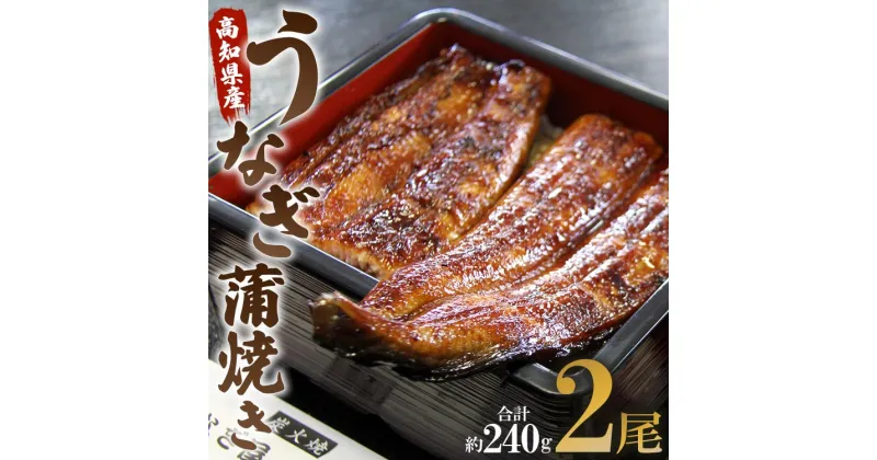 【ふるさと納税】高知県産うなぎ蒲焼き 2尾(合計約240g)（無頭）- 鰻 ウナギ おかず おつまみ スタミナ プレゼント ギフト お礼 御礼 感謝 お礼 御礼 感謝 贈答 丑の日 敬老の日 うなぎ屋きた本 高知県 香南市【冷凍】un-0014