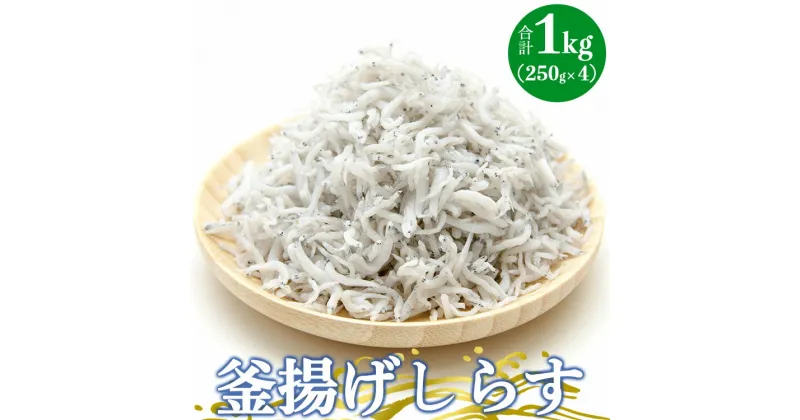 【ふるさと納税】土佐名産 釜揚げしらす 合計1kg（約250g×4）- 釜揚げ シラス じゃこ おかず ご飯のお供 食事 丼 おつまみ 酒の肴 魚 和食 ギフト 贈答 贈り物 送料無料 高知県 香南市【冷凍】 tk-0006