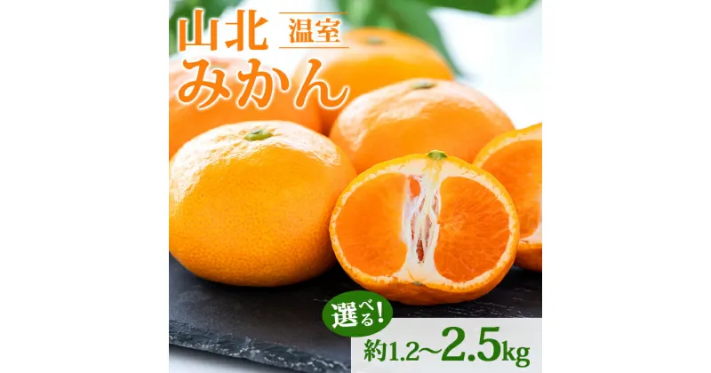 【ふるさと納税】【先行予約】山北温室みかん 約1.2kg/約2.5kg – 秀品 果物 くだもの フルーツ 柑橘 ミカン 蜜柑 甘い おいしい 選べる 贈り物 ギフト 産地直送 特産品 旬 季節 国産 自宅用 おすそ分け 果実 御礼 お礼 内祝い 期間限定 のし対応 高知県 香南市【常温】