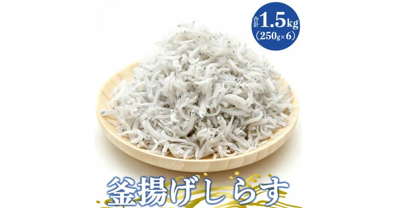 【ふるさと納税】土佐名産 釜揚しらす1.5kg(250g×6) – 釜揚げ シラス じゃこ おかず ご飯のお供 食事 丼 おつまみ 酒の肴 魚 和食 ギフト 贈答 贈り物 送料無料 高知県 香南市【冷凍】tk-0007