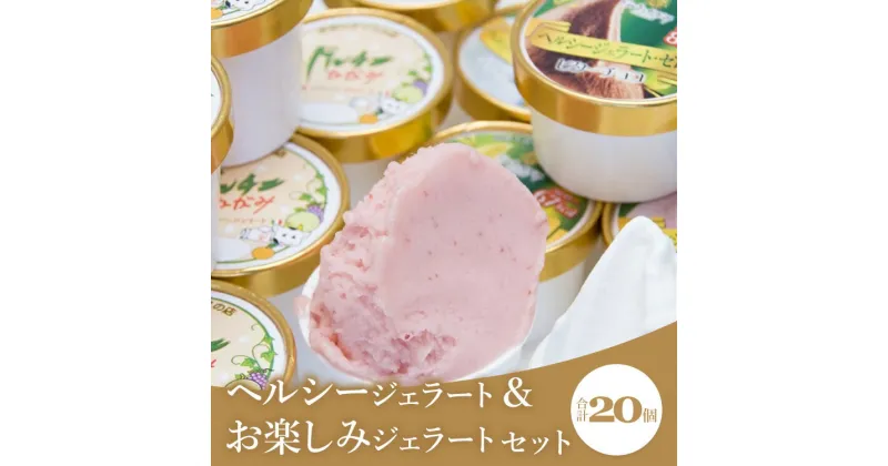 【ふるさと納税】ドルチェかがみ ヘルシージェラート&お楽しみジェラートセット 20個入り – 送料無料 アイス 詰め合わせ 食べ比べ スイーツ デザート ギフト プレゼント 贈答用 贈り物 高知県 香南市【冷凍】dc-0029