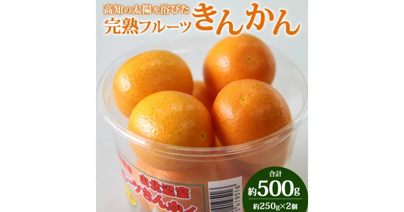 【ふるさと納税】高知の太陽を浴びた完熟フルーツきんかん 合計500g（250g×2パック）- 果物 フルーツ キンカン 金柑 柑橘 送料無料 のし対応可 期間限定 数量限定 高知県 香南市【常温】 ku-0020