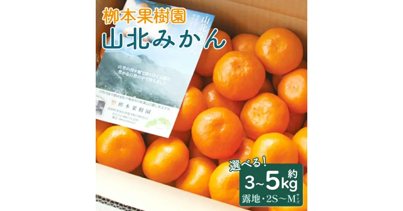 【ふるさと納税】(令和6年発送) 【選べる内容量】【先行予約】山北みかん 約3kg／約5kg（露地 2S〜Mサイズ）- 果物 フルーツ 柑橘類 温州みかん ミカン 蜜柑 甘い おいしい 送料無料 のし 贈り物 冬 期間限定 季節限定 数量限定 2024年出荷 高知県 香南市【常温】