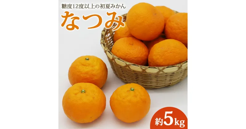 【ふるさと納税】【数量限定】糖度12度以上の初夏みかん なつみ 約5kg – 果物 くだもの フルーツ 柑橘類 ミカン 蜜柑 ナツミ 甘い おいしい 期間限定 のし対応可 贈答 ギフト お礼 御礼 送料無料 高知県 香南市【常温】ku-0028