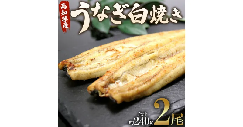 【ふるさと納税】高知県産うなぎ白焼き 2尾(合計約240g)(無頭) – 送料無料 鰻 ウナギ 魚介 惣菜 おかず 山椒塩 ギフト お礼 御礼 感謝 のし 贈り物 プレゼント 贈答 丑の日 敬老の日 うなぎ屋きた本 高知県 香南市【冷凍】 un-0017