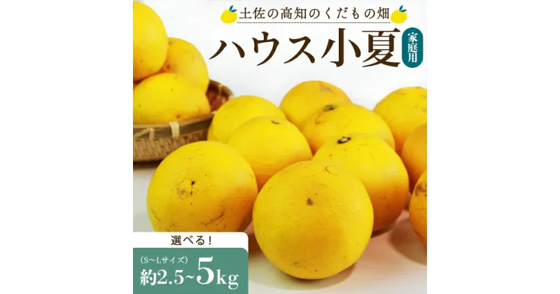 【ふるさと納税】【先行予約】【選べる】ハウス小夏 約2.5kg/約5kg（家庭用）- 訳アリ 訳あり キズ 日向夏 ニューサマーオレンジ 果物 果実 蜜柑 みかん ミカン フルーツ 柑橘 こなつ 果汁 フレッシュ 国産 送料無料 土佐の高知のくだもの畑 高知県 香南市【常温】Rkd-0023