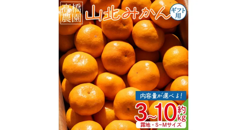 【ふるさと納税】【選べる内容量】山北みかん（露地・S〜Mサイズ）約3kg/約5kg/約10kg – 果物 フルーツ 柑橘 先行予約 おすそ分け ギフト のし 配送日指定不可 数量限定 期間限定 季節限定 送料無料 高橋農園 高知県 香南市【常温】Rth-0014