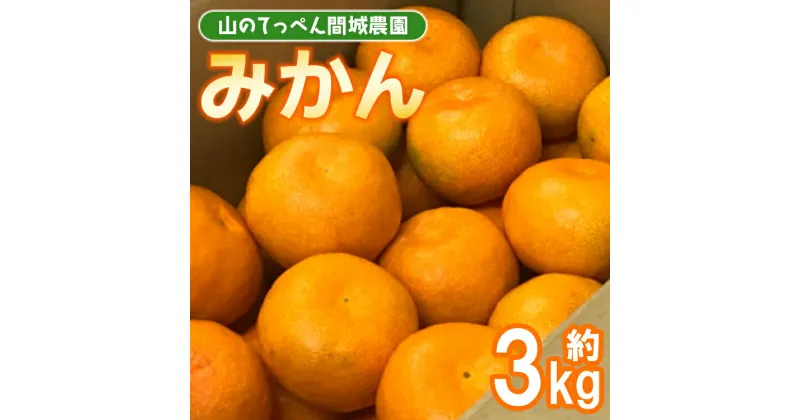 【ふるさと納税】【数量限定】山のてっぺん 間城農園 みかん 約3kg – 送料無料 温州みかん ミカン 蜜柑 フルーツ 柑橘 果物 くだもの 甘い あまい おいしい 期間限定 配送日指定不可 高知県 香南市【常温】ms-0045