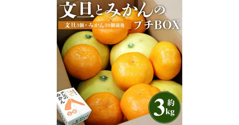 【ふるさと納税】【先行予約】文旦とみかんのプチBOX 約3kg – 果物 くだもの フルーツ 柑橘類 ぶんたん ブンタン ミカン 詰め合わせ つめあわせ セット 食べ比べ お楽しみ お試し おいしい 特産品 間城農園 高知県 香南市【常温】ms-0040