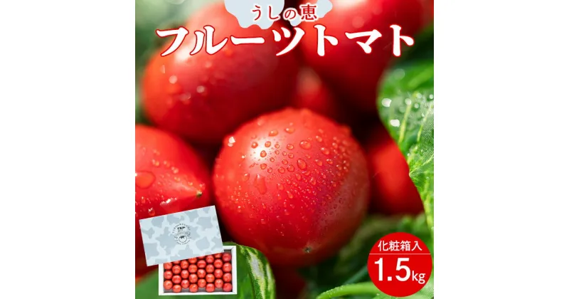 【ふるさと納税】【数量限定】うしの恵 フルーツトマト 化粧箱入り 約1.5kg – 野菜 とまと 産地直送 2025年発送 料理 アレンジ サラダ 鍋 サンドイッチ 完熟 甘い あまい フレッシュ さっぱり 酸味 ギフト 贈答 お礼 御礼 おいしい 国産 高知県 香南市【常温】mj-0013