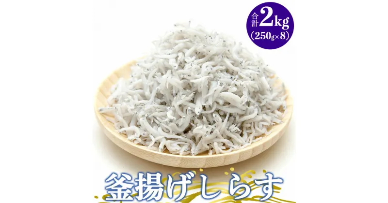 【ふるさと納税】土佐名産 釜揚しらす 約2kg(約250g×8) – 釜揚げ シラス じゃこ おかず ご飯のお供 食事 丼 おつまみ 酒の肴 魚 和食 ギフト 贈答 贈り物 送料無料 高知県 香南市【冷凍】 tk-0008