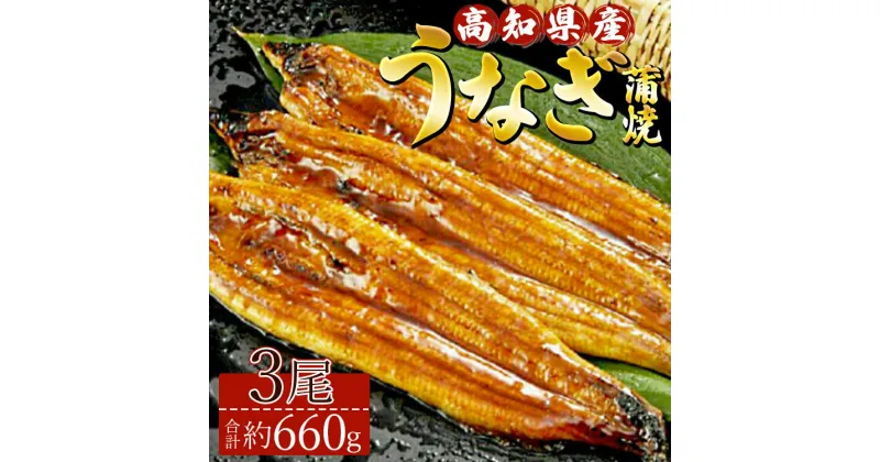 【ふるさと納税】高知県産養殖うなぎ蒲焼き 3尾(合計約660g) – タレ付き たれ 丑の日 鰻 ウナギ かばやき 蒲焼き うな丼 うな重 送料無料 ギフト お礼 御礼 感謝 贈答 贈り物 須崎市道の駅 高知県 香南市【冷凍】ss-0035