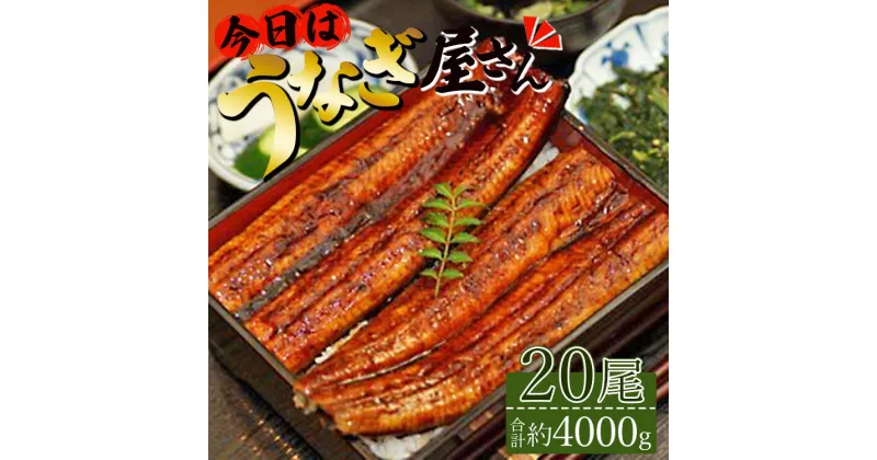 【ふるさと納税】台湾産養殖うなぎ蒲焼 20尾(合計4000g以上)「今日はうなぎ屋さん」セット – 送料無料 1回配送 鰻 ウナギ 蒲焼き かば焼き かばやき うな丼 うな重 ギフト お礼 御礼 贈答 贈り物 高知県 香南市【冷凍】ss-0031