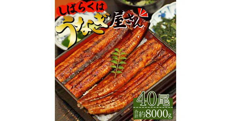 【ふるさと納税】台湾産養殖うなぎ蒲焼 40尾(合計約8000g)「しばらくはうなぎ屋さん」セット – 1回配送 鰻 ウナギ 蒲焼き かば焼き かばやき ギフト お礼 御礼 うな丼 うな重 丼ぶり おすそ分け 高知県 香南市【冷凍】ss-0032