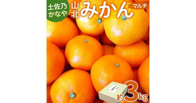 【ふるさと納税】【数量限定】土佐乃かなや マルチ 山北みかん 約3kg – 送料無料 フルーツ 果物 くだもの 温州みかん ミカン 柑橘 甘い おいしい 旬 季節限定 かなや農園 合同会社Benifare 国産 特産品 お歳暮 御歳暮 高知県 香南市【常温】be-0016