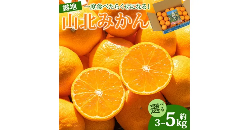 【ふるさと納税】【選べる】一度食べたらくせになる！ 高知県産 山北みかん 約3kg/約5kg（露地栽培 2S〜Lサイズ）- 送料無料 果物 くだもの フルーツ 温州みかん ミカン 蜜柑 柑橘 甘い 贈り物 お取り寄せ 産地直送 特産品 期間限定 高知県 香南市【常温】Rku-0037