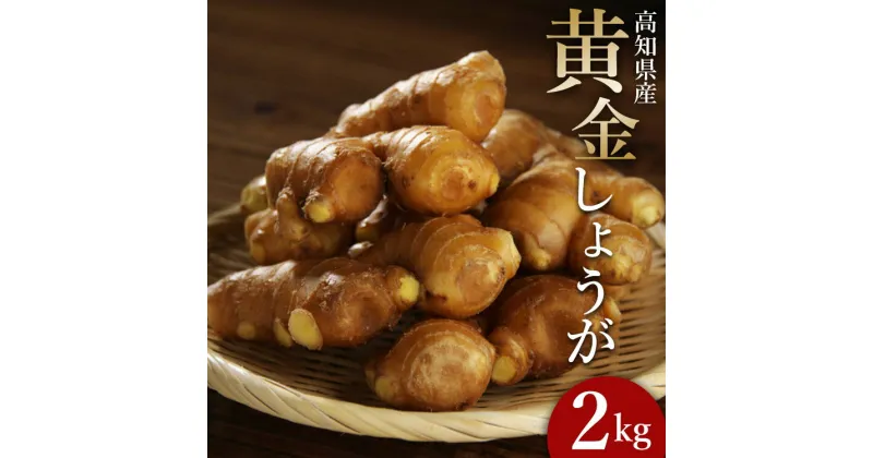 【ふるさと納税】生姜一筋70年の生姜老舗問屋 黄金しょうが 約2kg – 送料無料 生産量日本一 おかず お料理 のし対応不可料理 飲み物 高知県 香南市【冷蔵】 Xnb-0004