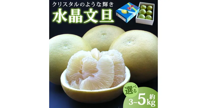 【ふるさと納税】【選べる内容量】先行予約受付！高知県香南市産 水晶文旦 約3kg/約5kg – 送料無料 果物 くだもの フルーツ 柑橘 ブンタン ぶんたん みずみずしい ザボン ざぼん 果汁 ジューシー 柑橘類 デザート 期間限定 おすそ分け 贈答 高知県 香南市【常温】Rku-0038